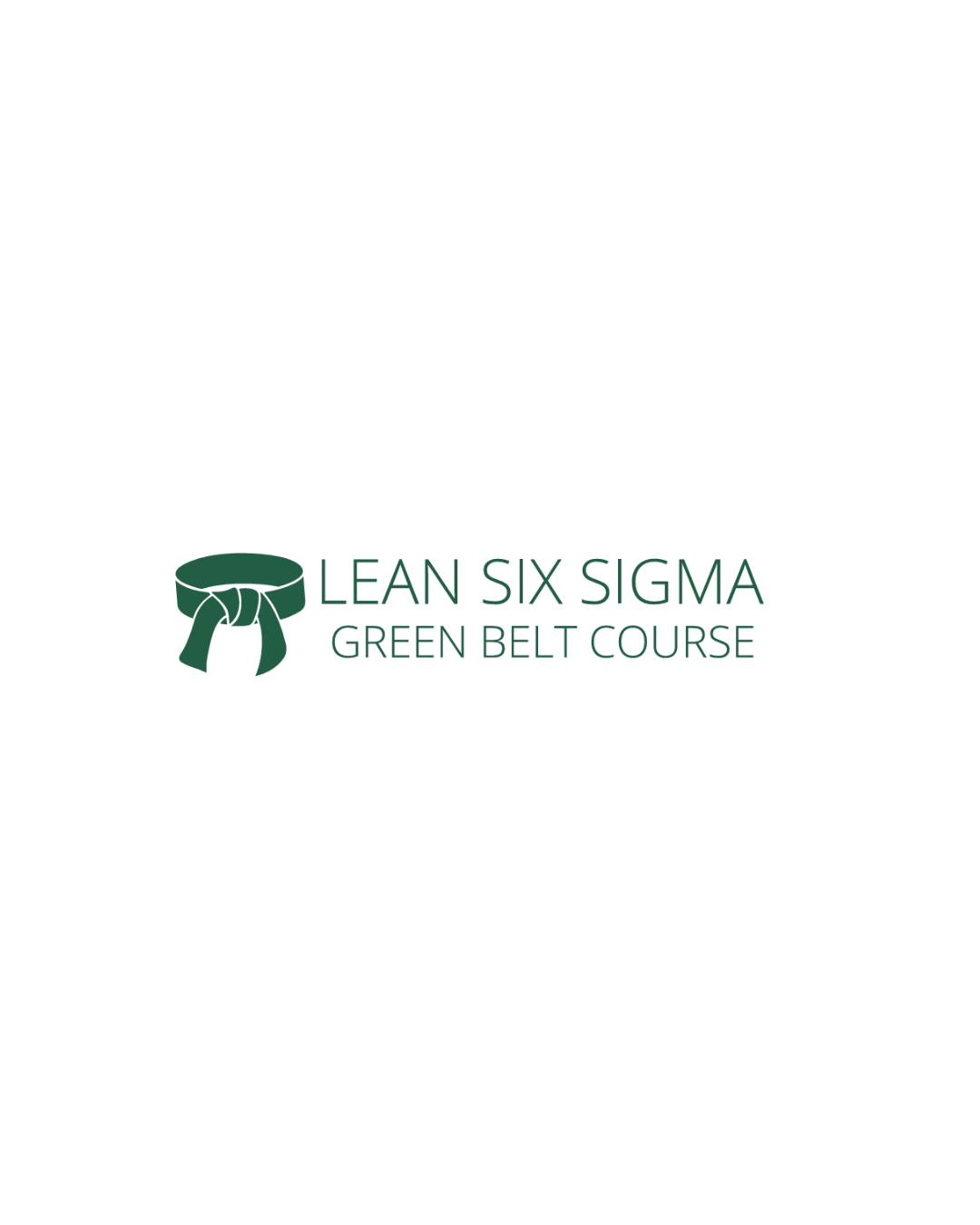 Lean Six Sigma logo